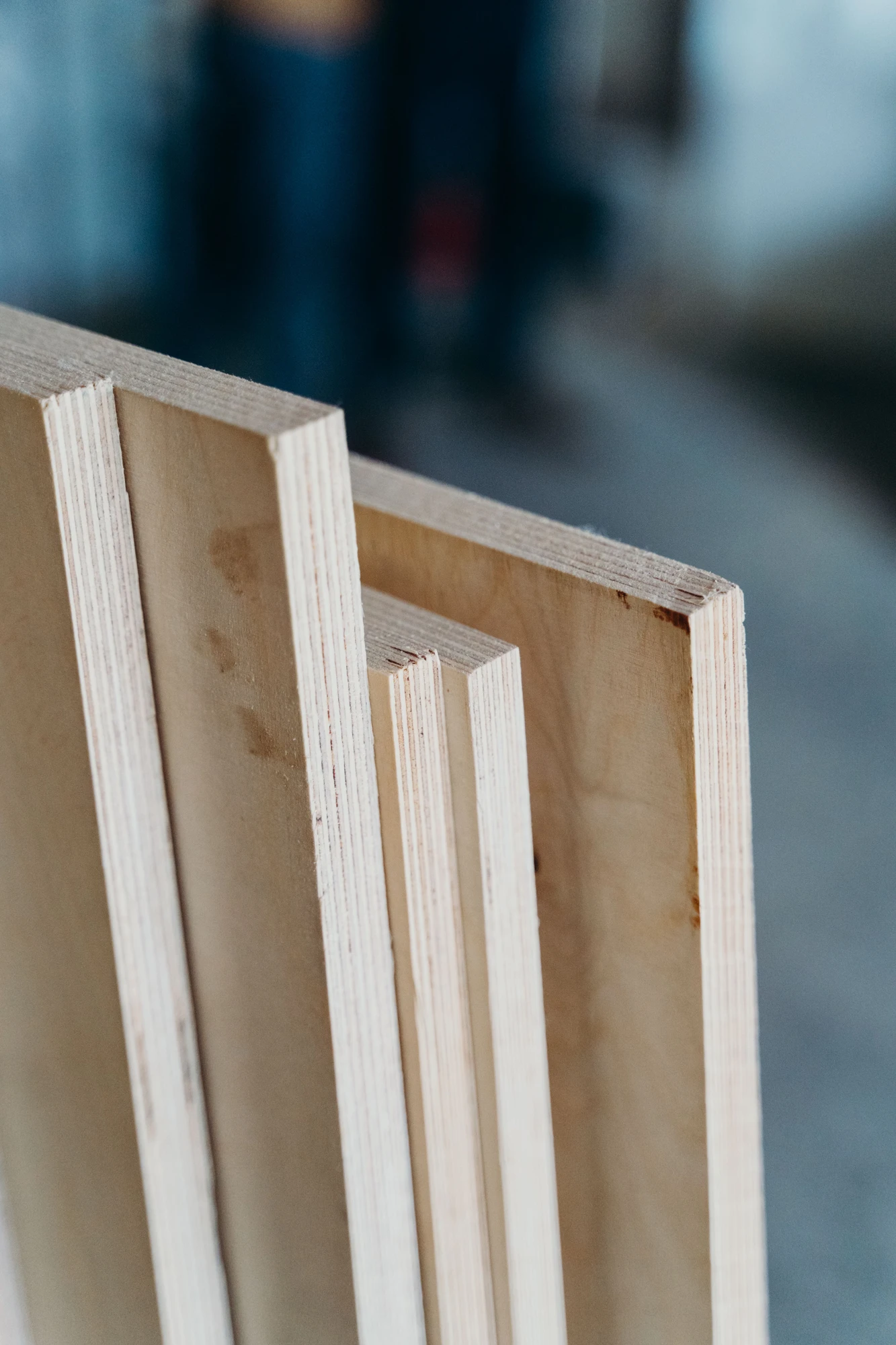 Edge of a hardwood plywood panel showing face veneer and core, the details that decide coverage
